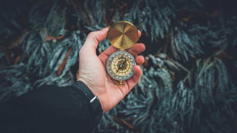 A hand holds an open brass compass with a detailed dial against a backdrop of frosty foliage.